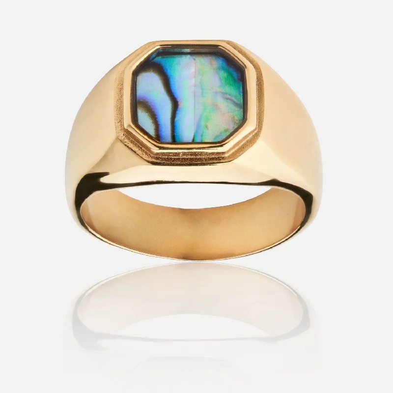 Titanium Wedding Rings-Abalone Ring