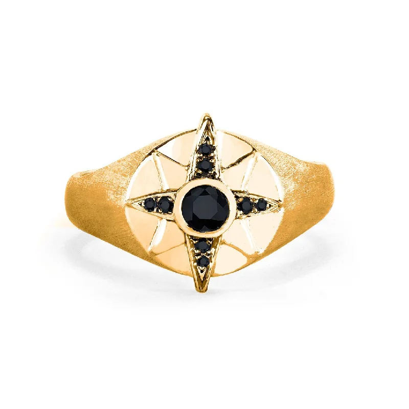 Simple Gemstone Rings-Men's North Star Signet Ring